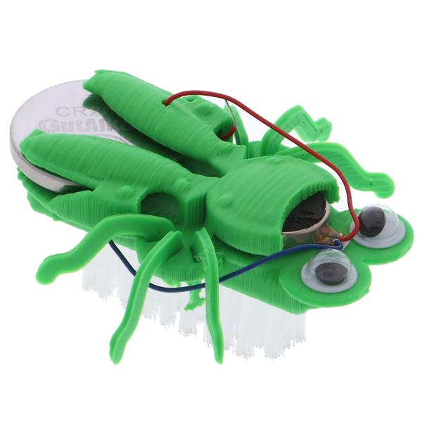 Sunny - Vibrating DIY beetle kit